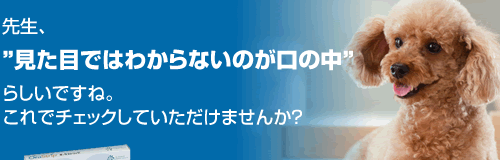 オーラストリップ